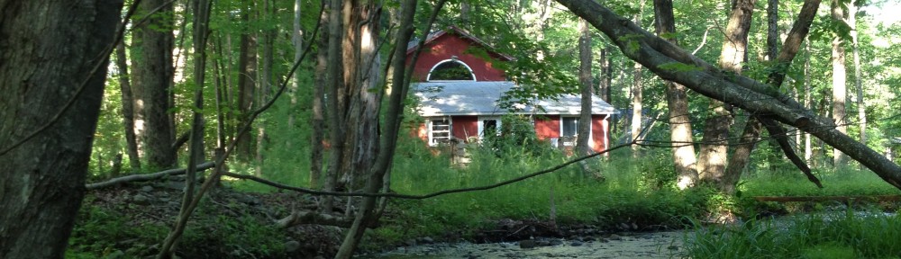 Catskill Rental House